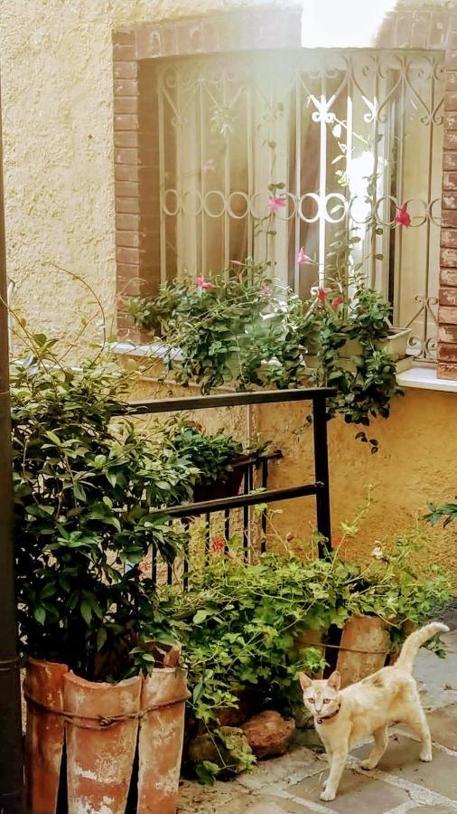 Casa Gaia Apartamento Trivigno Exterior foto